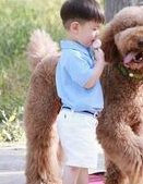 鹰潭市做试管婴儿怎么样？推荐这几家试管医院