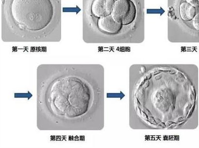 三代试管婴儿私立医院可以吗？点赞收藏！