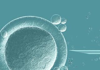 一文详解：宁夏三代试管婴儿大约要多少钱？